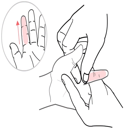 小儿推拿之平肝清肺